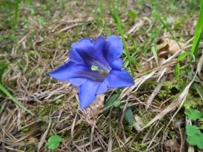 dscf8688.jpg