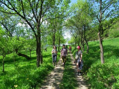 dscf8718.jpg