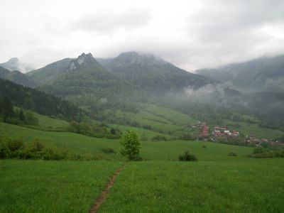 dscf8811.jpg