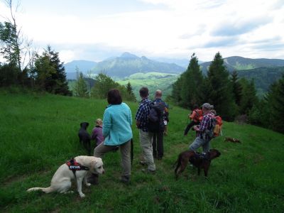 dscf8906.jpg