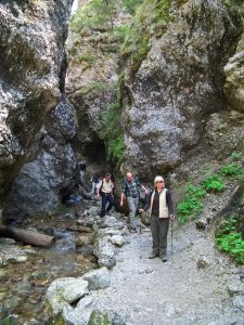 dscf8972.jpg