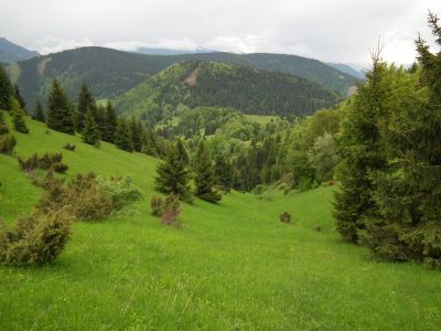dscf9057.jpg