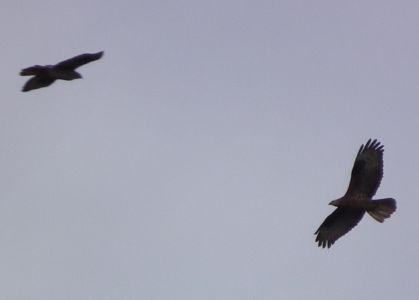 dscf9059.jpg