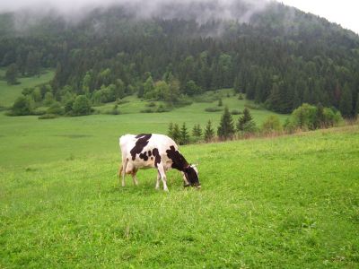 dscf9066.jpg