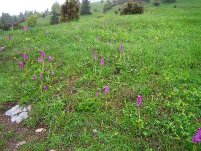 dscf9077.jpg