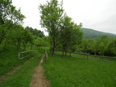 dscf9081.jpg