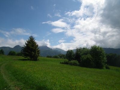 dscf9321.jpg