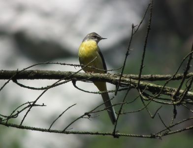 dscf9397.jpg