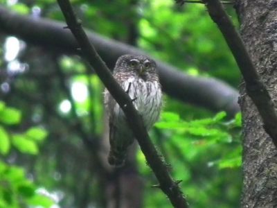dscf9428.jpg