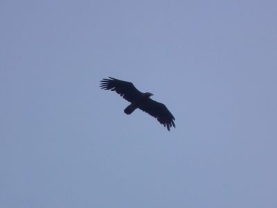 dscf9449.jpg