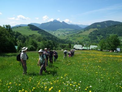 dscf9514.jpg