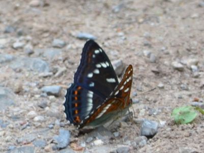 dsc_0072.jpg