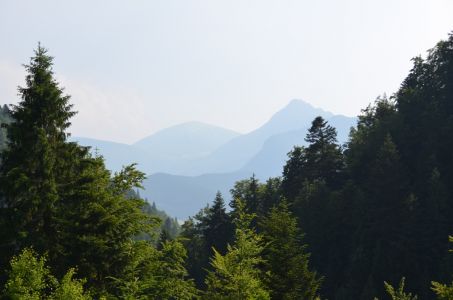 dsc_0109.jpg