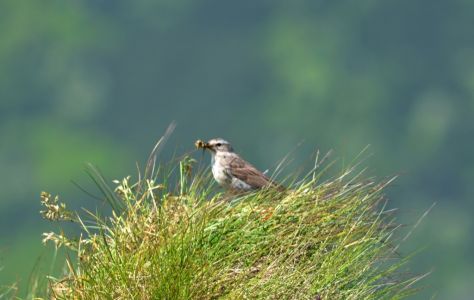 dsc_0152.jpg