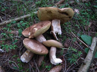 dscf9848.jpg