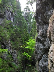 dscf9866.jpg