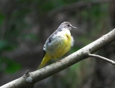 dscf9879.jpg