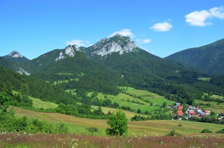 dsc_0045.jpg