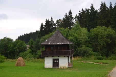 dsc_0064.jpg