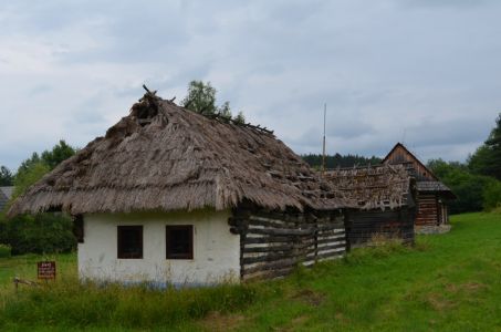 dsc_0065.jpg