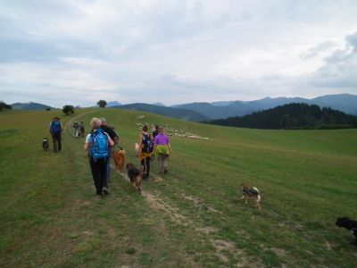 dscf0479.jpg