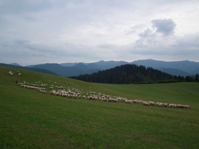 dscf0480.jpg