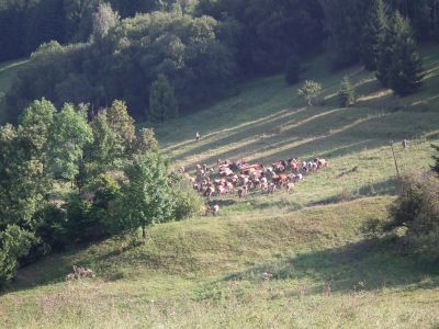 dscf0512.jpg