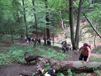 dscf0527.jpg