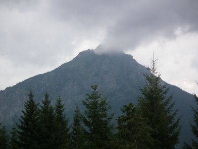 dscf0548.jpg