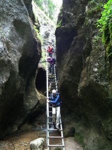dscf0633.jpg