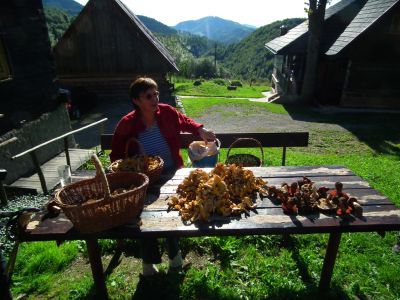 dscf0680.jpg