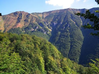 dscf0731.jpg
