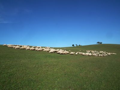 dscf0740.jpg