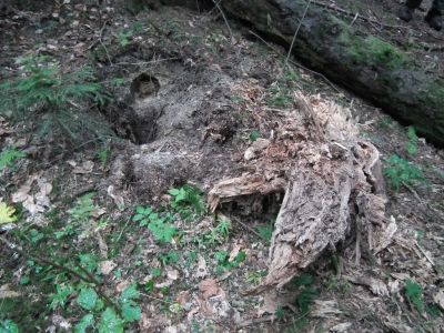 dscf0754.jpg