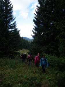 dscf0809.jpg
