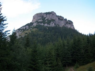 dscf0811.jpg