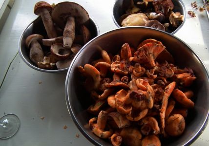 dscf0859.jpg
