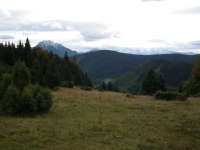 dscf0885.jpg