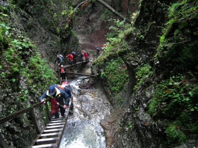 dscf0903.jpg