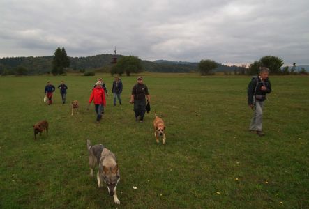 dscf0966.jpg