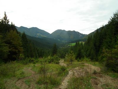 dscf1015.jpg