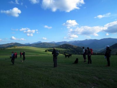 dscf1101.jpg