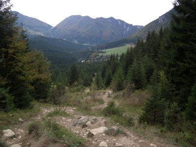 dscf1140.jpg