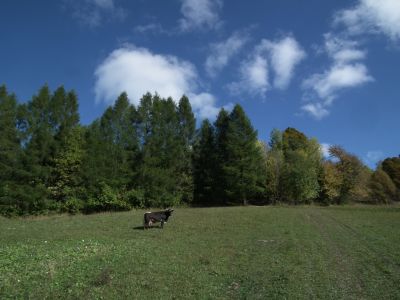 dscf1146.jpg