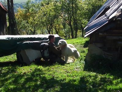 dscf1174.jpg