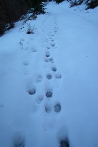 dscf1901.jpg