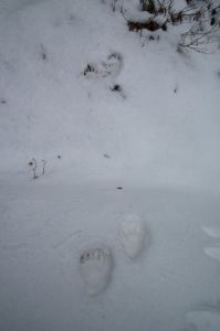 dscf1908.jpg