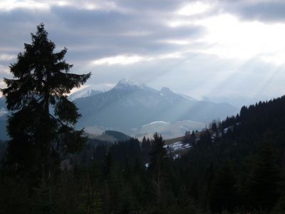 dscf2013.jpg