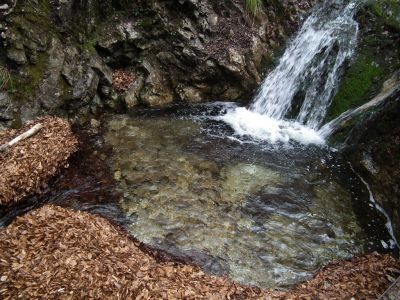 dscf2041.jpg