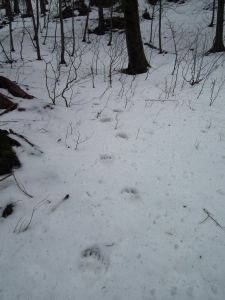 dscf2045.jpg